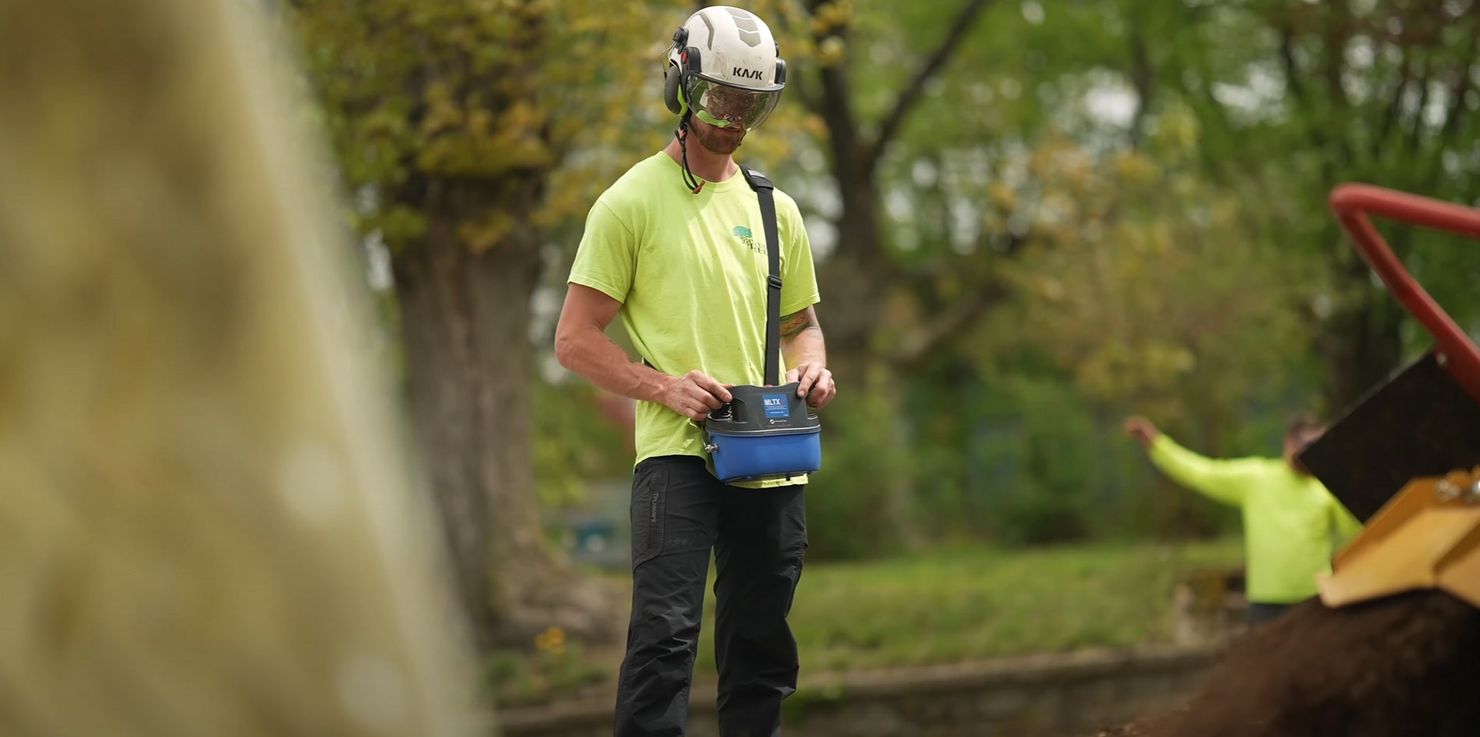 Tree Trimming & Pruning